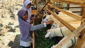 Katib Syuriyah PCI NU Tiongkok Siap Melatih Santri Berwirausaha di Pesantren Nurul Furqon Rembang