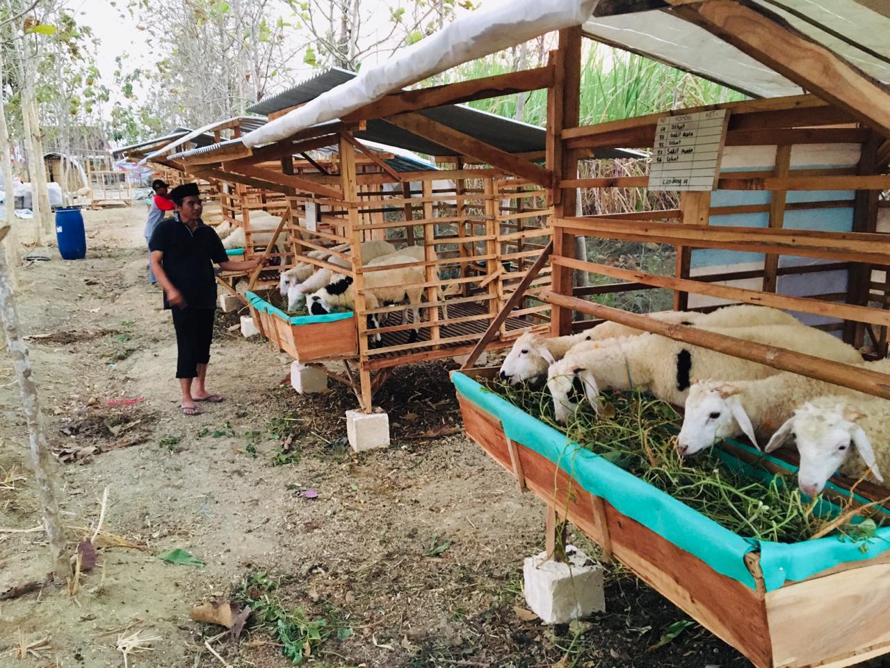 Sekolah Alam Planet NUFO Pilanggowok