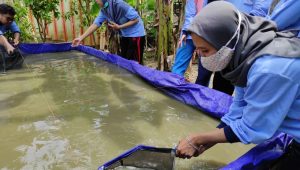 Peluang Usaha Mahasiswa di Tengah Pandemi