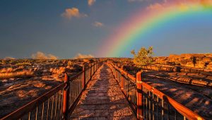 Ilustrasi-Frans-Van-Heerden-Photographer-Pexels