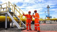 PGN Anak Pertamina