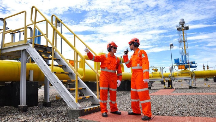 PGN Anak Pertamina
