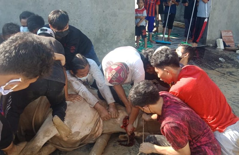 Kurban Idul Adha di Planet NUFO