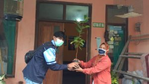 Kegiatan Pembagian Bibit Tanaman