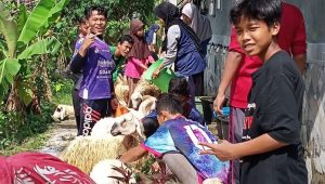 Lomba Memandikan Doma: @planet.nufo