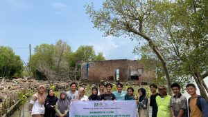 hmi cabang semarang tanam mangrove