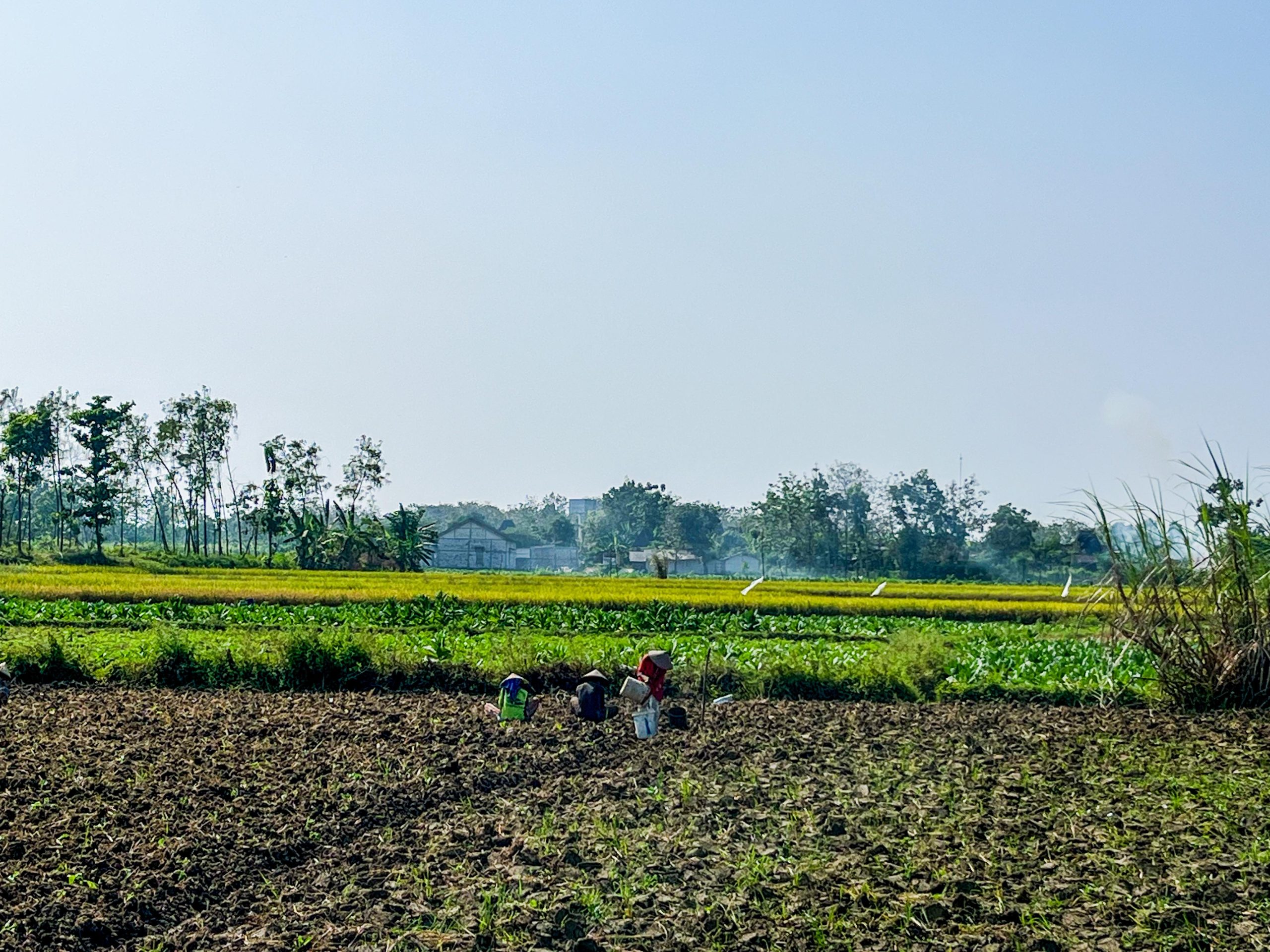 Gambar WhatsApp 2025-07-27 pukul 10.17.11_70275189