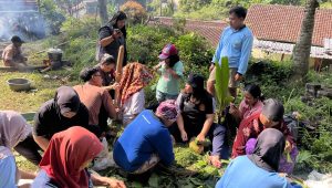 Tradisi Nggecok dan Dawuhan