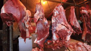 daging sapi