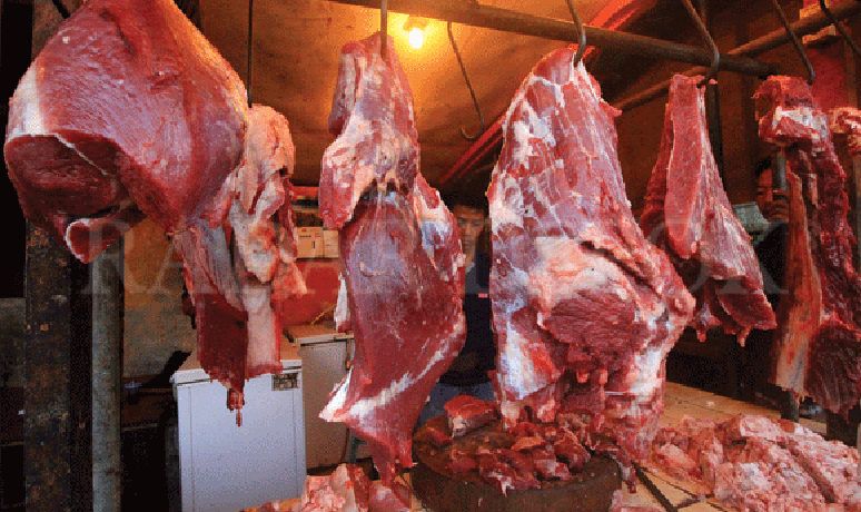 daging sapi